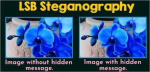 Figure 1: Least Significant Bit (LSB) image steganography showing the original cover image and the corresponding stego image containing a hidden secret message, where visual differences remain imperceptible to the human eye.